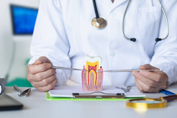 Best Walk-In Emergency Dentist in Youngsville, NC